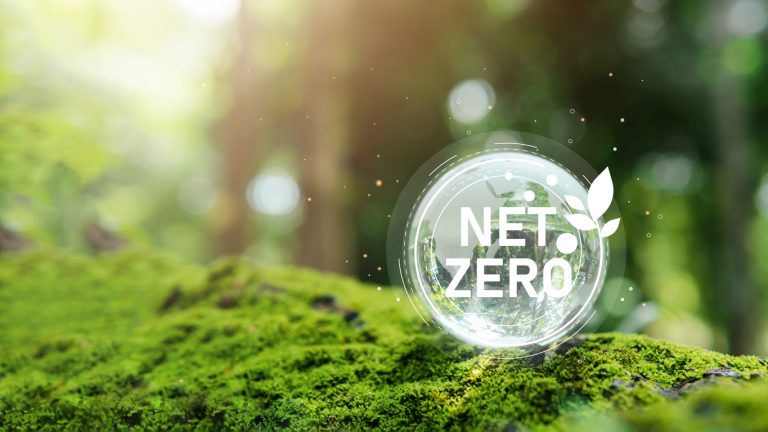 Are Net Zero Goals Attainable? - Connected World